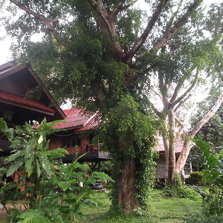 Bamboo House Otel Khao Sok National Park Dış mekan fotoğraf