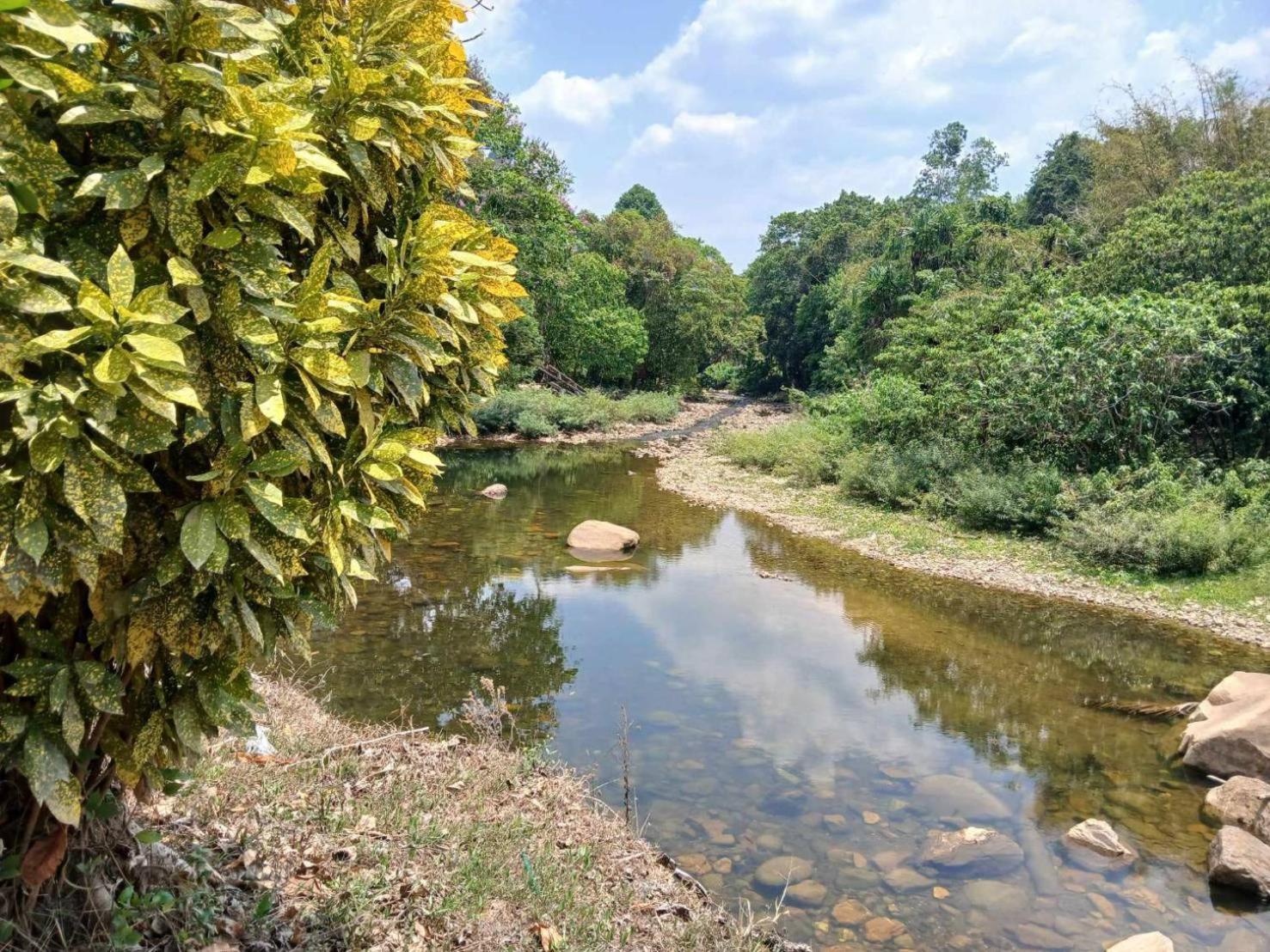 Bamboo House Otel Khao Sok National Park Dış mekan fotoğraf