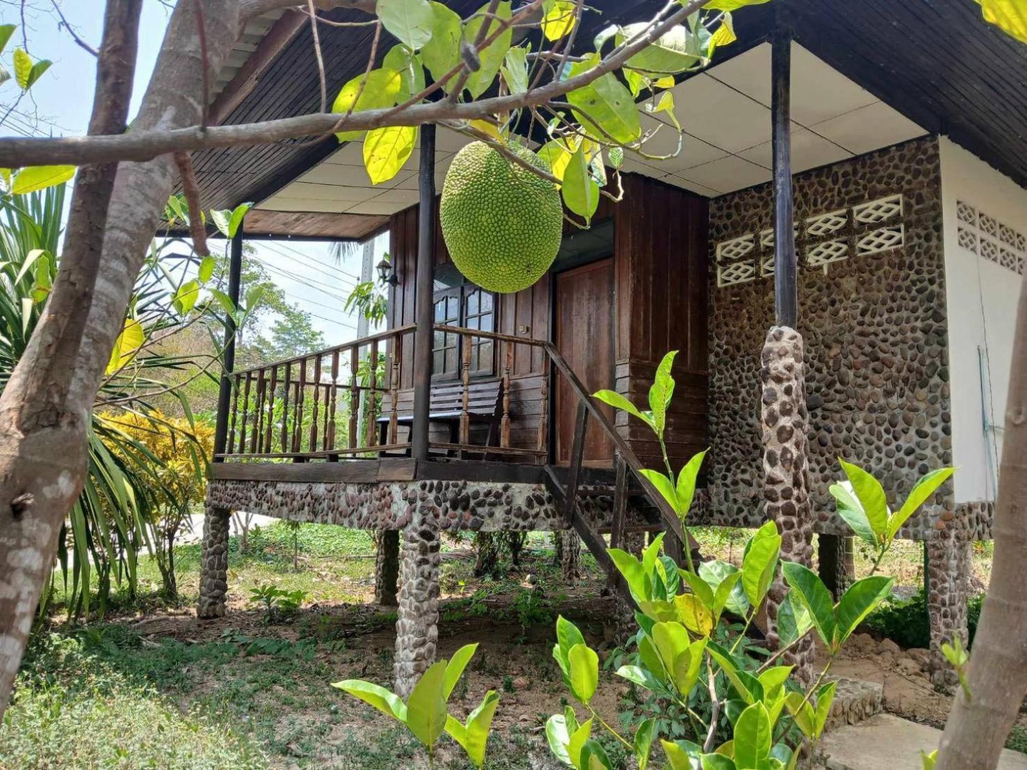 Bamboo House Otel Khao Sok National Park Dış mekan fotoğraf