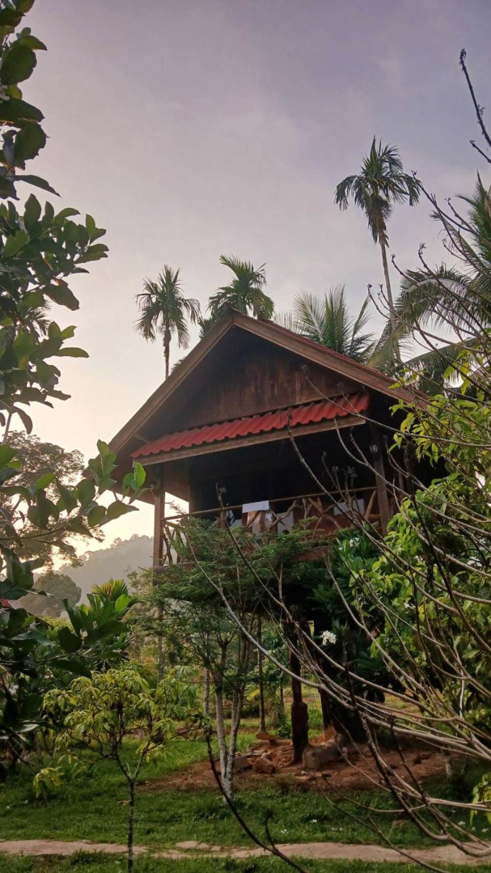 Bamboo House Otel Khao Sok National Park Dış mekan fotoğraf