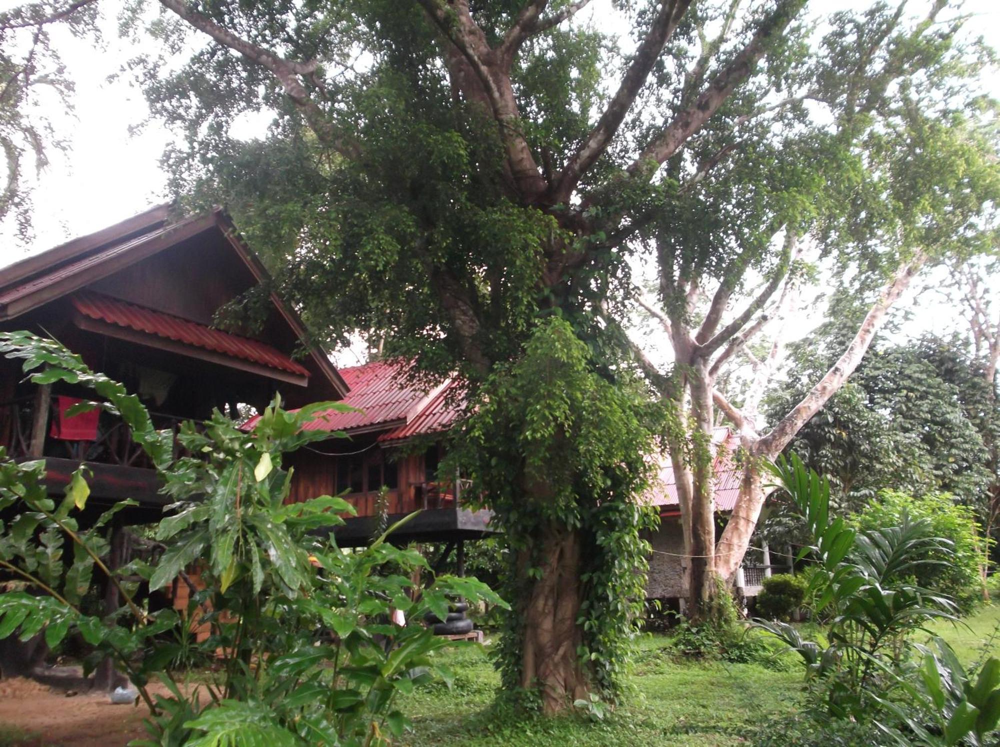 Bamboo House Otel Khao Sok National Park Dış mekan fotoğraf