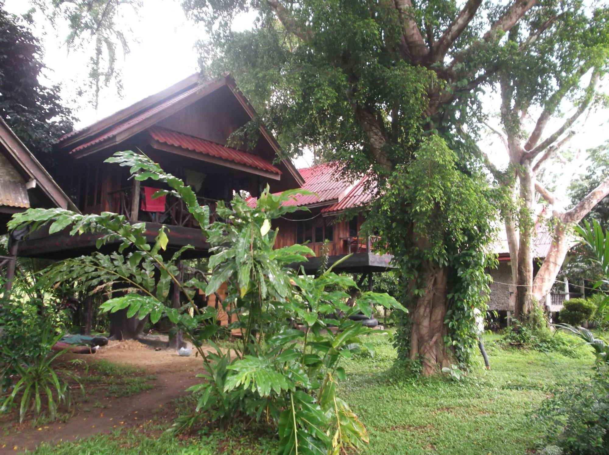 Bamboo House Otel Khao Sok National Park Dış mekan fotoğraf