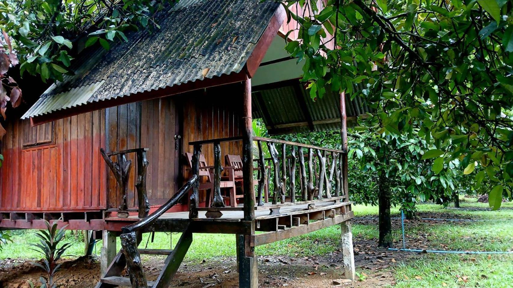 Bamboo House Otel Khao Sok National Park Dış mekan fotoğraf